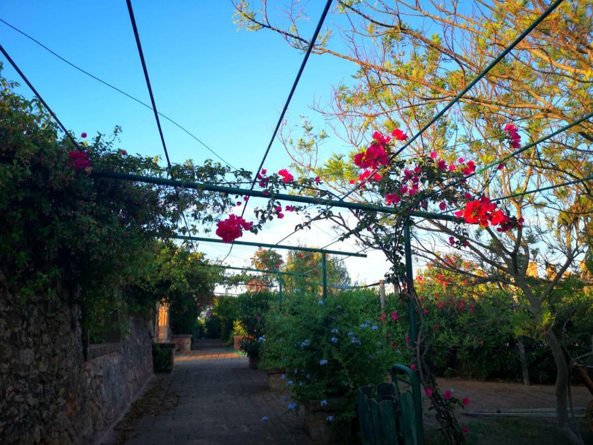 Masseria Provenzani Villa Trepuzzi Buitenkant foto