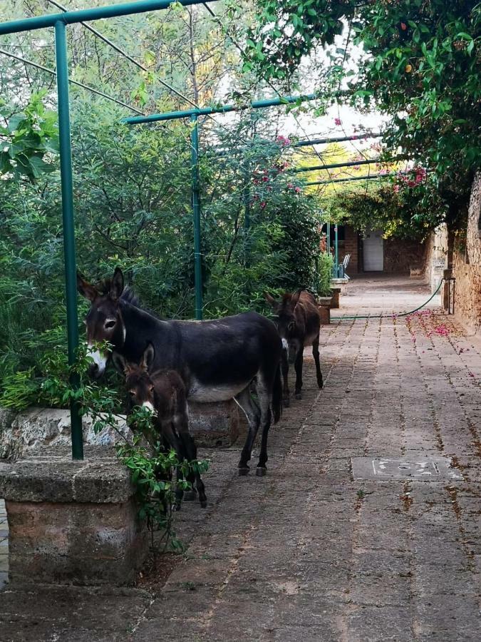 Masseria Provenzani Villa Trepuzzi Buitenkant foto