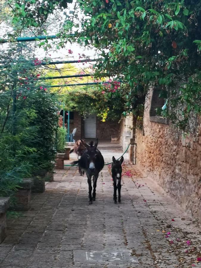 Masseria Provenzani Villa Trepuzzi Buitenkant foto